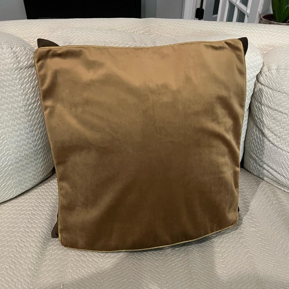Luxurious Velvet Throw Pillow 16x16
